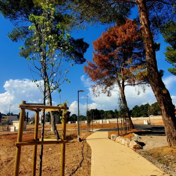 Béziers 34500 terrain idéalement situé commerces école, collège