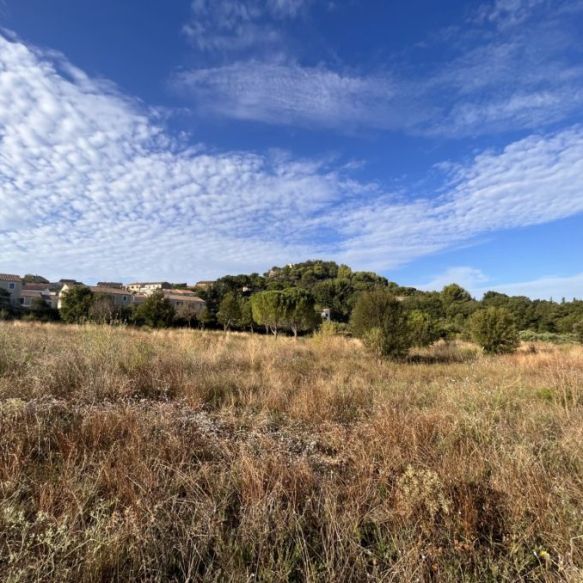 Terrain à bâtir viabilisé dans un cadre privilégié à Rognes