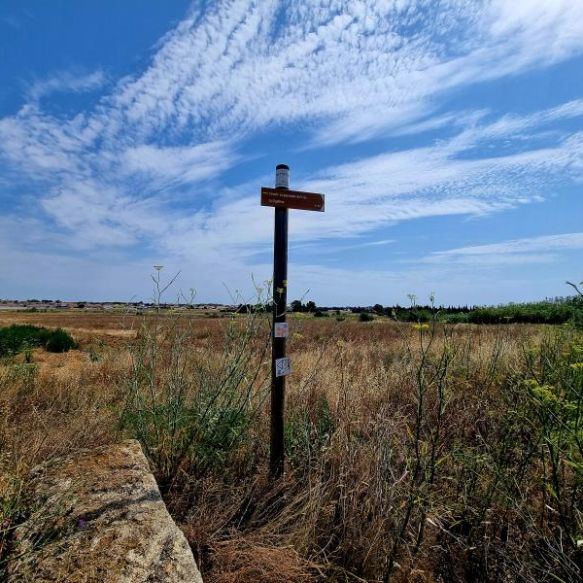 Sauvian Terrain proche de la méditerranée