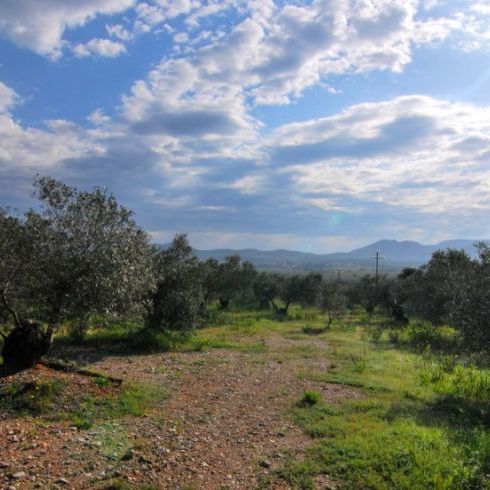 Terrain de 300m2 sur les hauteurs de Sommières